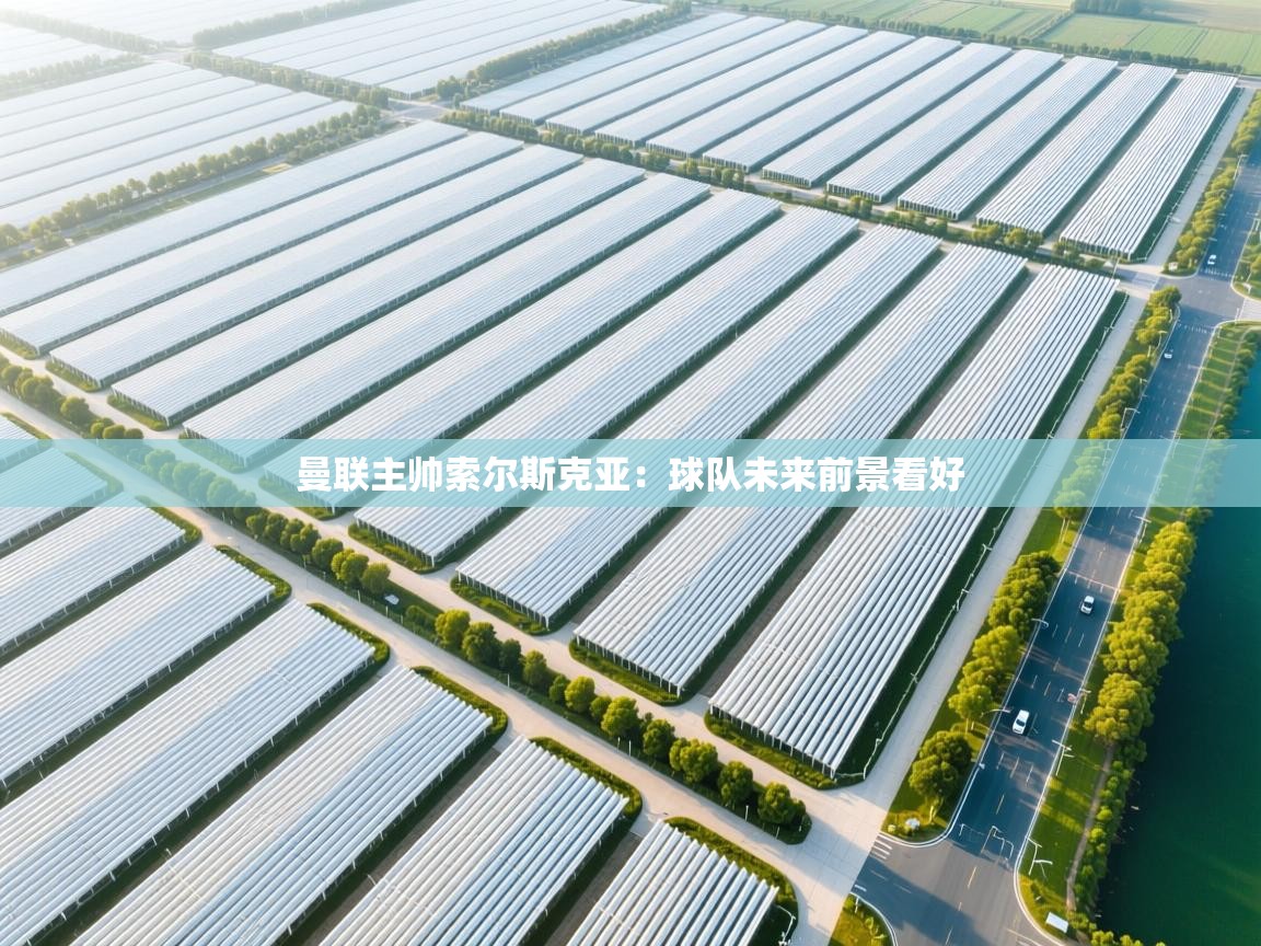 曼联主帅索尔斯克亚:球队未来前景看好 第1张