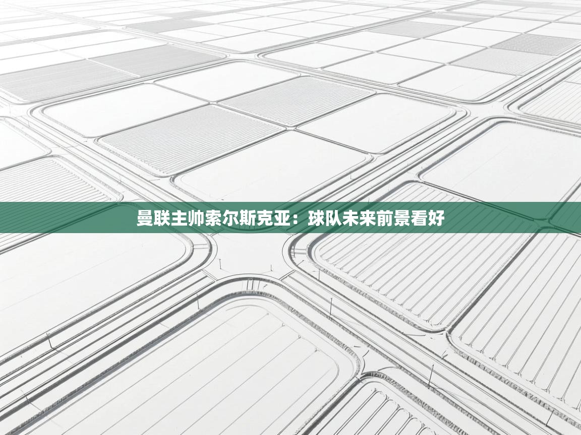 曼联主帅索尔斯克亚:球队未来前景看好 第2张