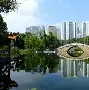 爱游戏网页版入口-青海飞虎不放弃拼搏，西宁神鹿难以阻挡