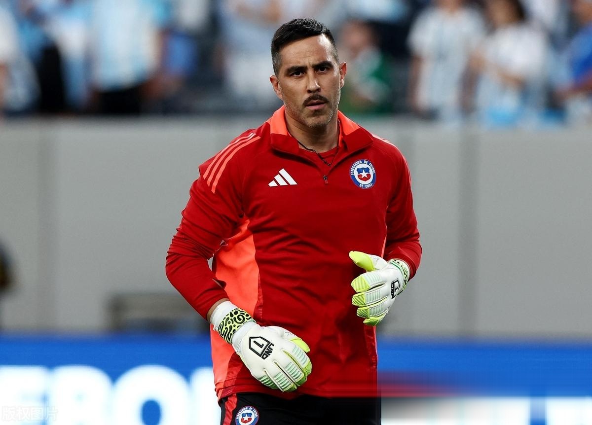 爱游戏app-包含南美球员在赛场上展现毅力与智慧的词条